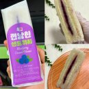 전남친 샌드위치 블루베리 크림치즈맛 GS25 편의점 신상 후기 (+세븐일레븐 비교)