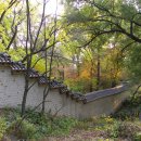 서울 도심에 숨겨진 달달한 뒷길, 창덕궁 후원 뒷길 (후원 돌담길, 명륜동 장면총리가옥) 이미지