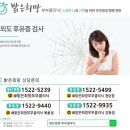 외도센터-4 네이버블로그