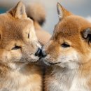 송정해변로 62 이미지