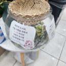 동암프라자 약국 이미지
