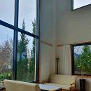 도긴어스 이미지