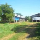 장기농장 이미지