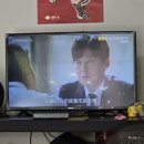 중산 태권도 | [241017-20] 2박4일 타이베이 여행2