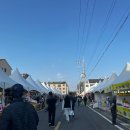 최남단해안로 | 제주 아이와 갈만한곳 최남단 방어축제 2025 방문후기 주차 체험비 아이와 갈때 꿀팁까지!