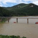 완도11호 이미지