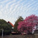 물소리N 이미지