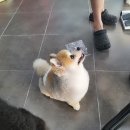 루이앤코코 이미지