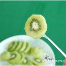 일진농원 이미지
