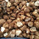 영선농장 이미지