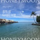 쇼킹펍 | [신혼여행:타히티/무레아] 꿈의 여행지 타히티를 여행하다 2 _무레아 소피텔 리조트 후기