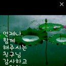 촌장 이미지