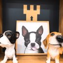 어도러블독 이미지