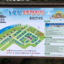 농월정야영장 이미지