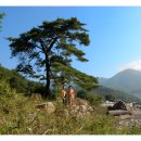 개울가 - 서산시 마애삼존불길 83 | 개울가