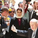 레몬트리 이미지