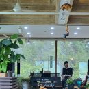 대청호카페 금린 이미지