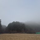 인제인력사무소