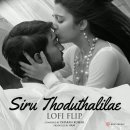 Bombay Jayashri &amp;·Haricharan(Indian)- Siru Thoduthalilae(살짝히 텃치하면) 이미지