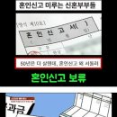 요즘 신혼부부들 특징 이미지