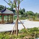 생활체육공원2 이미지