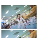 경희대 인하 태권도 이미지