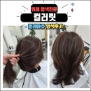 경자살롱 | < 위례 미용실 추천 > 위례 염색전문점 컬러릿 발레아쥬 염색 후기