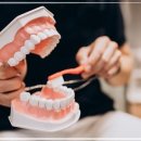 서울라이프치과의원 이미지