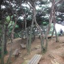 안산천2 이미지