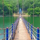 우산성 | 청양 천장호 출렁다리, 황룡의 등 위에서 펼쳐지는 짜릿한 힐링 (무료 주차, 입장!)