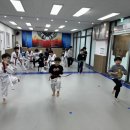 즐거운세종태권도장 | 즐거운 세종 태권도장에 저희 아들 보냈는데 기본 발차기 교육 등 재밌고 전문적으로 배우고 있어요^^