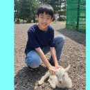 민준목장 Daum카페