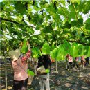 회덕농장 이미지