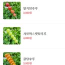 왕가탕후루김해 이미지