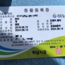 미사아일랜드멍카페 네이버블로그