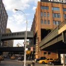 라인 벤치 이미지