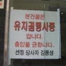 하이브레드 네이버블로그