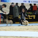 이천공설운동장 이미지