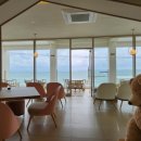 블랑도도 이미지