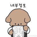 멍스라이프 | 네이버 블로그 스티커 '푸들 라이프' OGQ 마켓 스티커제작, 구매 후기