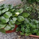 문암가든 이미지