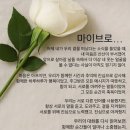 영헤어스토리 - 동구 | 영헤어스토리