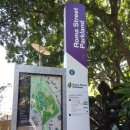 로마스할리데이 | 아이와 호주여행 로마스트리트 파크랜드