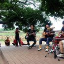 퐁낭아래 이미지