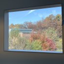 브런치&샌드위치마스터자격증 | 성남브런치맛집 온더브레드 복정 주차 메뉴 애견동반 솔직 후기