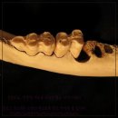 수성아이비치과의원 이미지