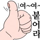 카포레스트2
