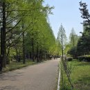 강재어린이공원 이미지