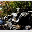 천왕산장 이미지