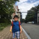 한영중고등학교병설유치원 이미지